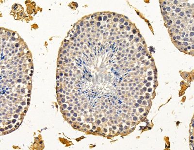 Валидация Affinity DF15031 - 11244