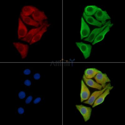 Валидация Affinity DF15621 - 12052