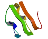 Olfactory Receptor 1F1 (OR1F1) Olfactory Receptor 1F1 (OR1F1)