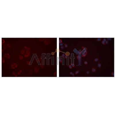 Валидация Affinity DF7104 - 18752