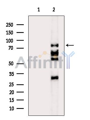 Валидация Affinity DF9889 - 22842