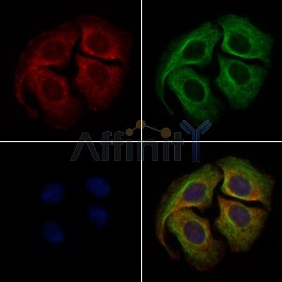 Валидация Affinity DF9509 - 22144