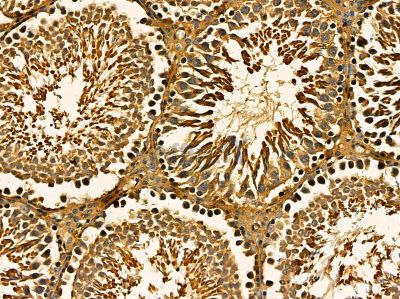 Валидация Affinity DF14548 - 10538