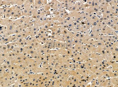 Валидация Affinity DF14208 - 10040