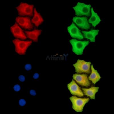 Валидация Affinity DF14629 - 10660