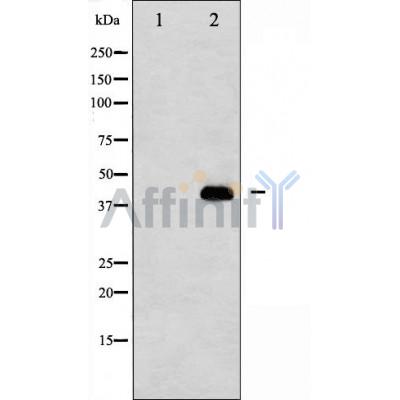 Валидация Affinity AF5267 - 2783