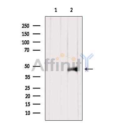 Валидация Affinity AF4084 - 2143