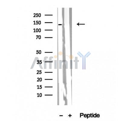 Валидация Affinity DF12304 - 6681