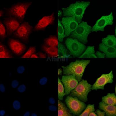 Валидация Affinity DF3007 - 13744