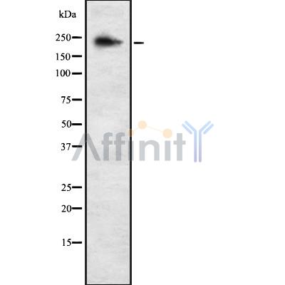Валидация Affinity DF8861 - 20951