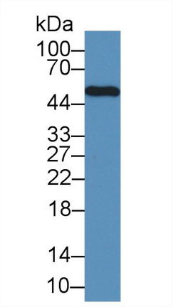 8749