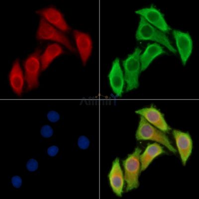 Валидация Affinity DF14023 - 9786