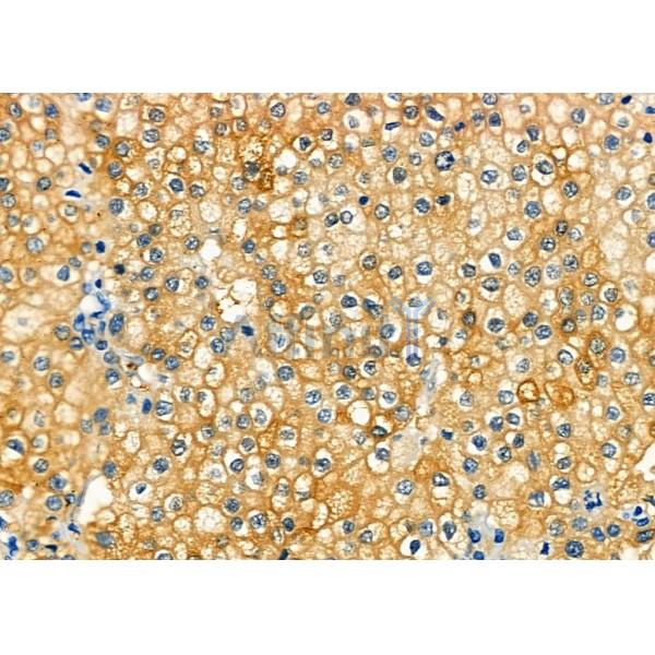 Валидация Affinity DF7832 - 19641