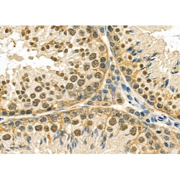 Валидация Affinity DF6532 - 17956