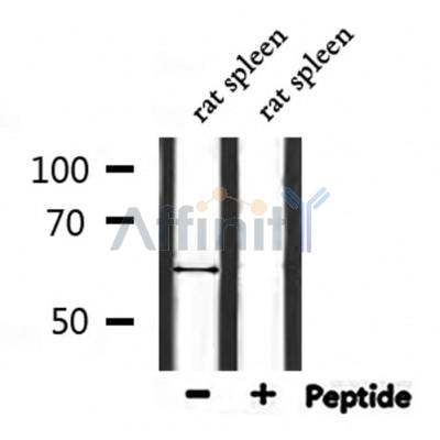 Валидация Affinity DF7262 - 18926