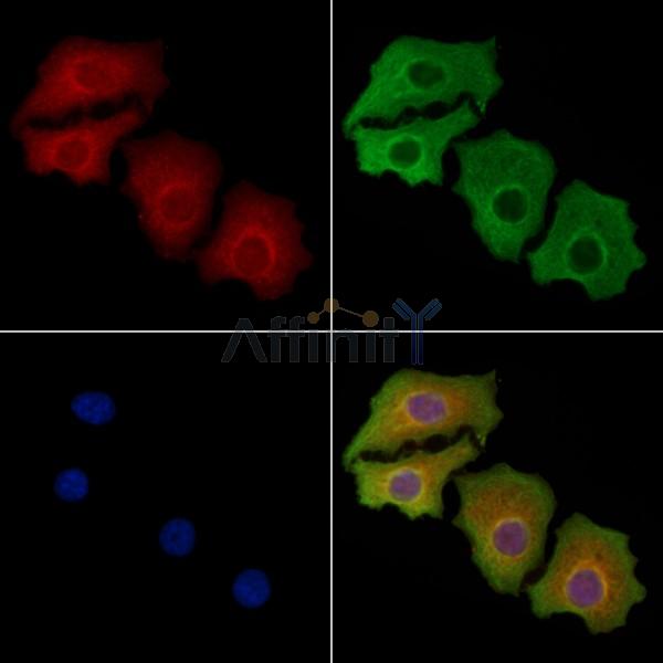 Валидация Affinity DF2768 - 13510