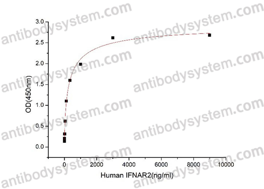 Валидация активности AntibodySystem AHE59001
