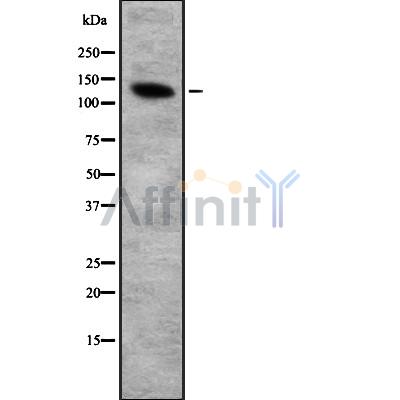 Валидация Affinity DF8281 - 20127