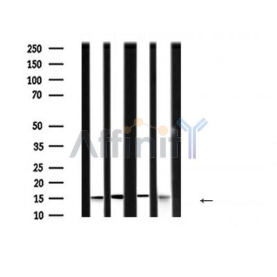 Валидация Affinity DF6298 - 17610