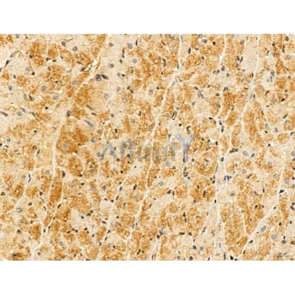 Валидация Affinity DF13129 - 8056