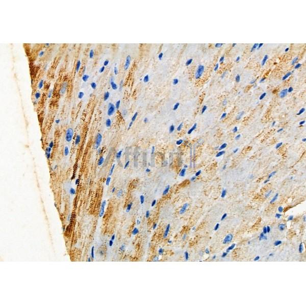 Валидация Affinity DF4886 - 16677