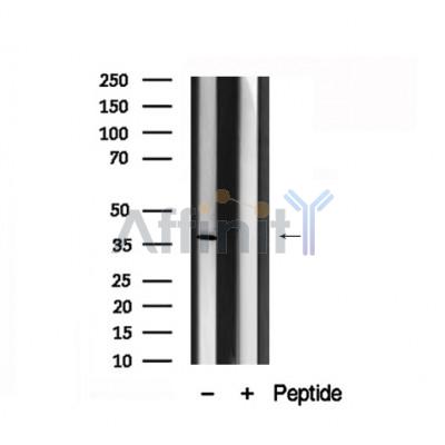 Валидация Affinity AF7892 - 4635