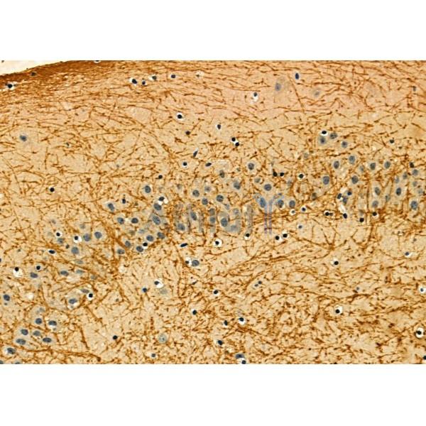 Валидация Affinity DF9776 - 22615