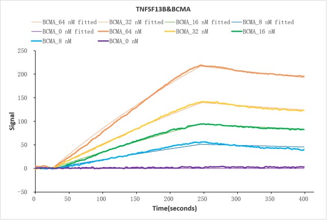 Анализ связывания SIRPA и CD47 методом LSPR