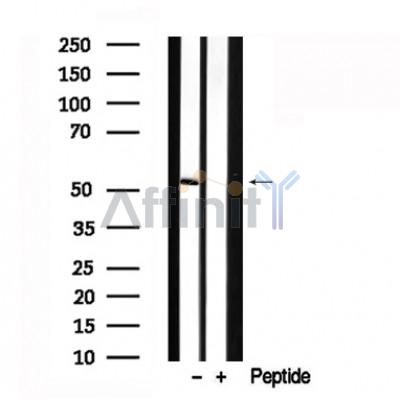 Валидация Affinity AF7609 - 4279