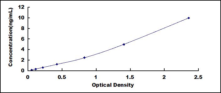 42076
