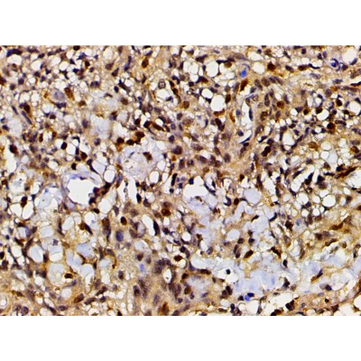 Валидация Affinity DF7450 - 19207