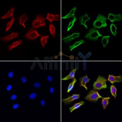 Валидация Affinity DF12130 - 6291