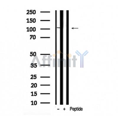 Валидация Affinity AF7948 - 4702