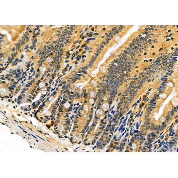 Валидация Affinity DF6152 - 17388