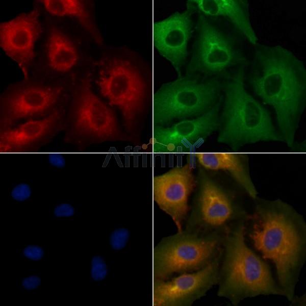 Валидация Affinity DF6221 - 17501