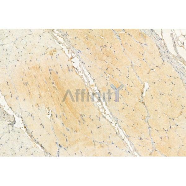 Валидация Affinity DF12006 - 6005