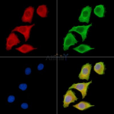 Валидация Affinity DF14367 - 10284