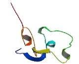 G Protein Coupled Receptor 110 (GPR110) G Protein Coupled Receptor 110 (GPR110)