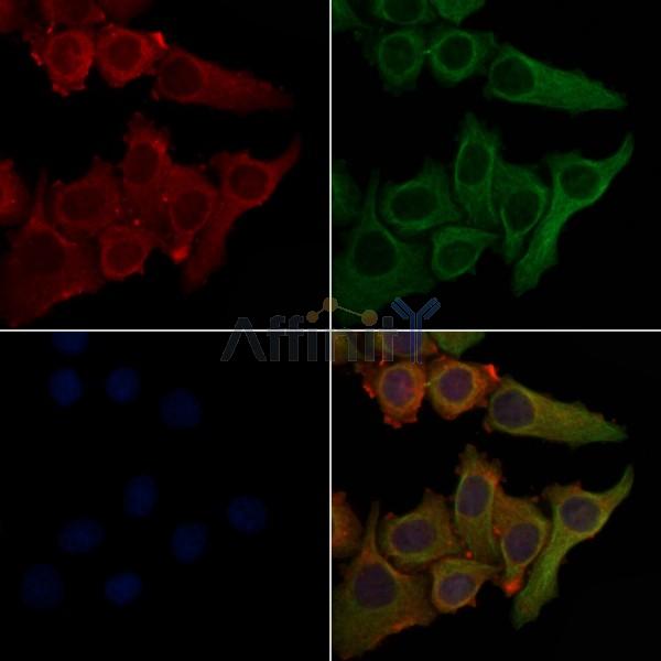 Валидация Affinity DF5143 - 17101