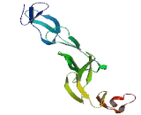 Tumor Necrosis Factor Receptor Superfamily, Member 1A (TNFRSF1A)