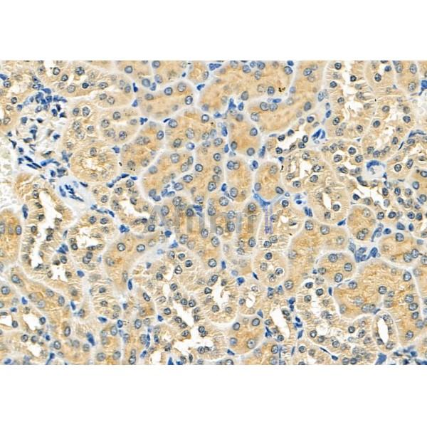 Валидация Affinity DF8057 - 19886