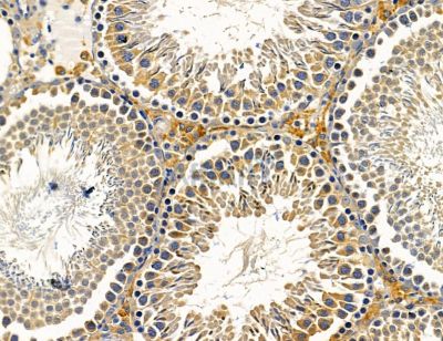 Валидация Affinity DF14594 - 10607