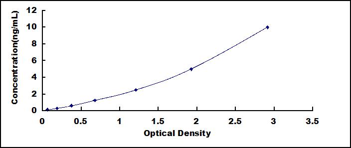 33803