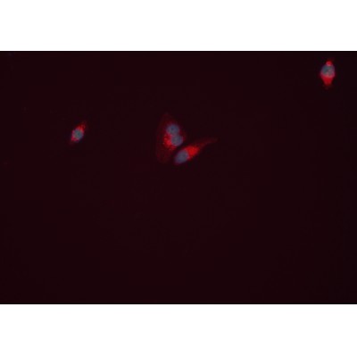 Валидация Affinity DF7607 - 19380