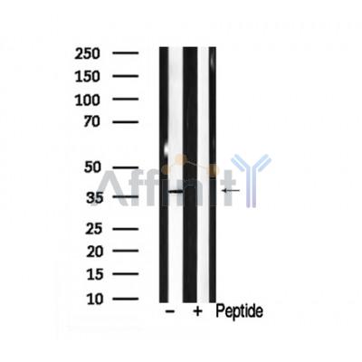 Валидация Affinity AF7932 - 4682
