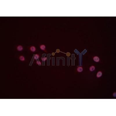 Валидация Affinity DF7250 - 18907