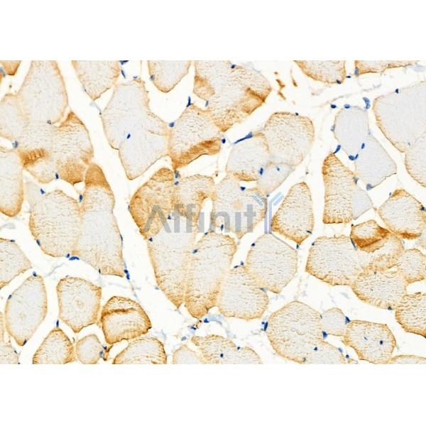 Валидация Affinity DF6299 - 17612