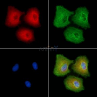 Валидация Affinity DF8867 - 20964