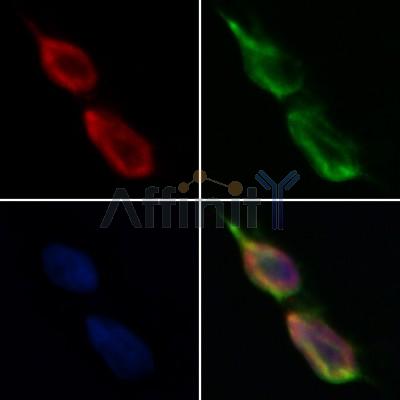 Валидация Affinity DF12420 - 6926