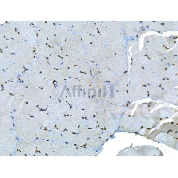 Валидация Affinity DF12190 - 6427